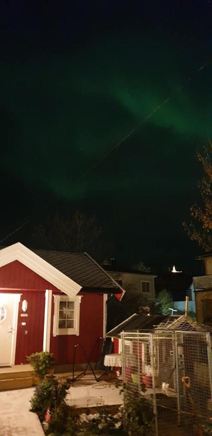 Nydelig Hytte I Kabelvag Lofoten Kabelvåg Exterior foto